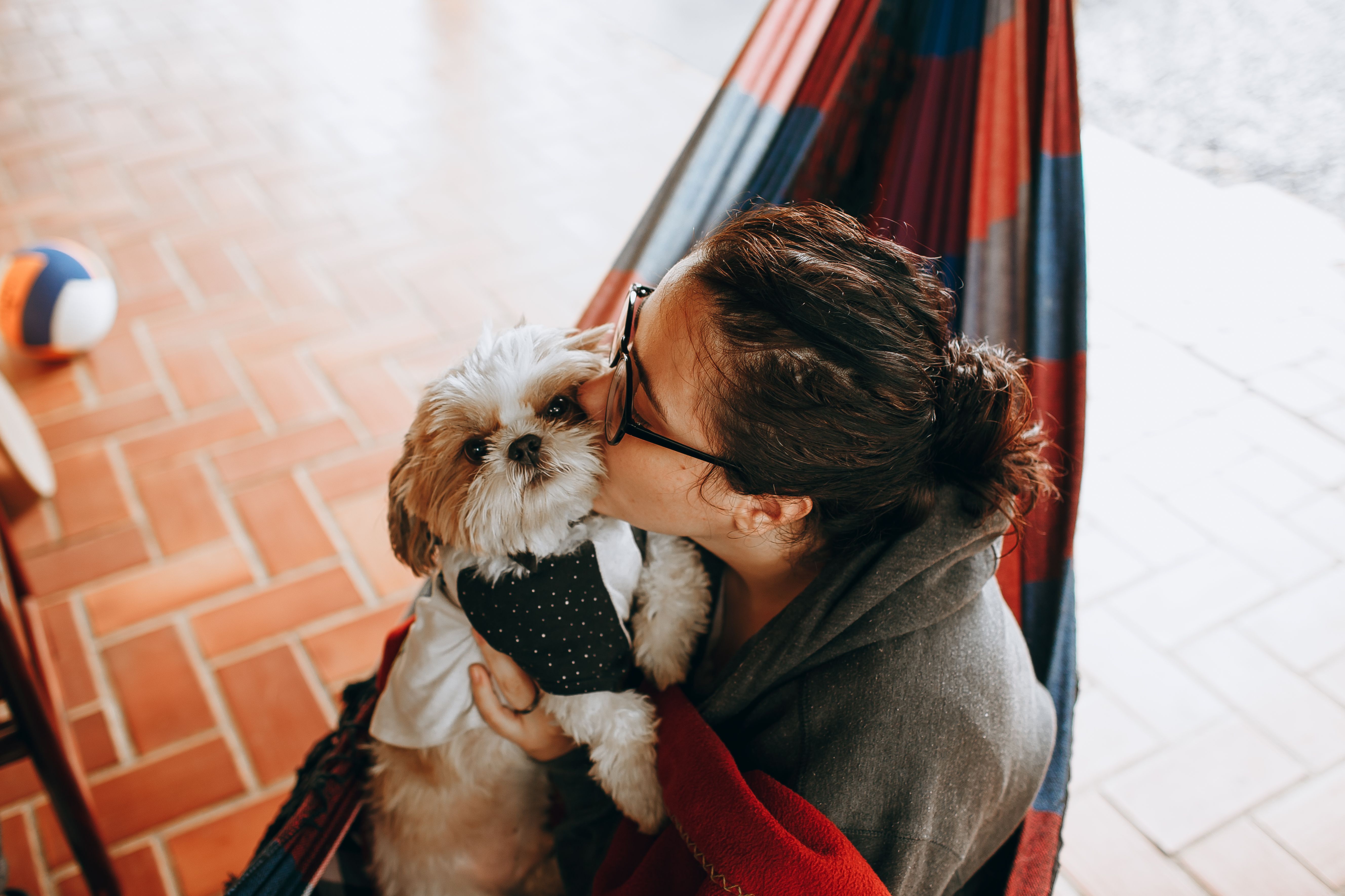 A small dog being cuddled